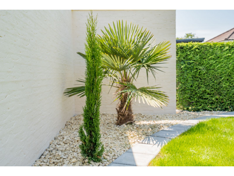 Renesse, Horizon 72 - Image 19