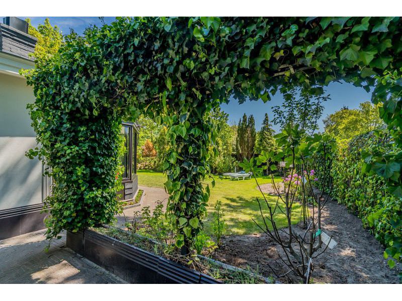 Renesse, De Patrijs - Image 30