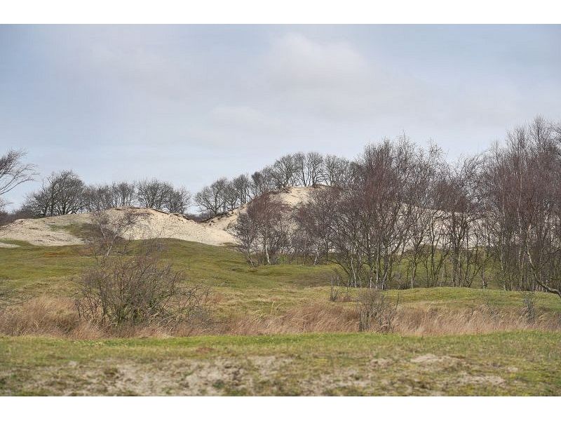 Burgh-Haamstede, Burghduin 1 - Image 29