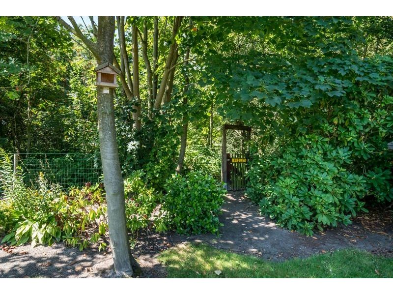 Renesse, Bongerd 51 - Image 12