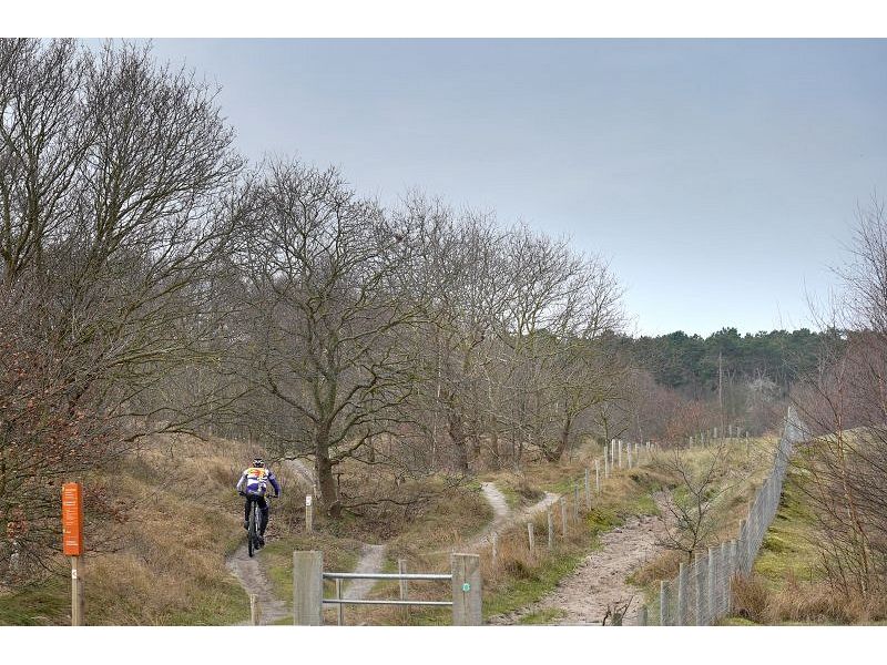 Burgh-Haamstede, Burghduin 1 - Image 30