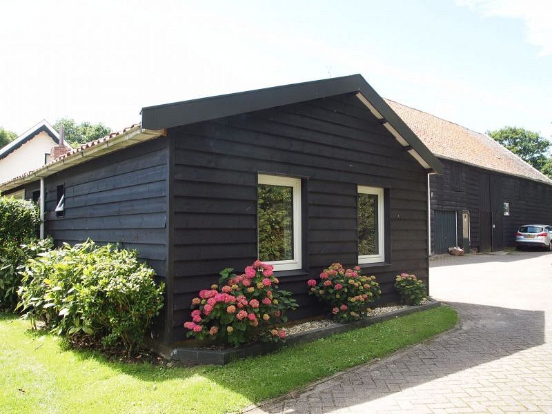 Westenschouwen, De Specht - Image 11