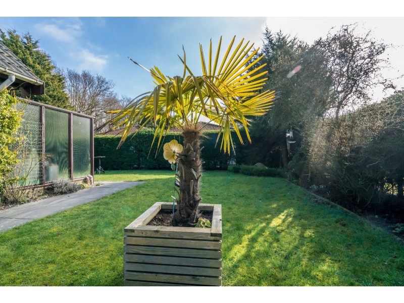 Renesse, Bongerd 9 - Image 24