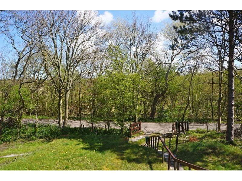 Renesse, Onder 't Hoge Duin - Image 20