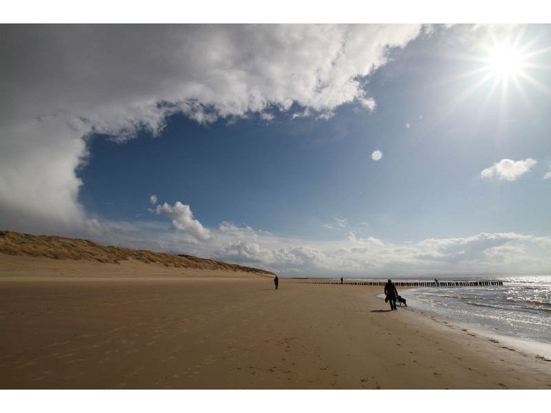 Burgh-Haamstede, Burghduin 1 - Image 31