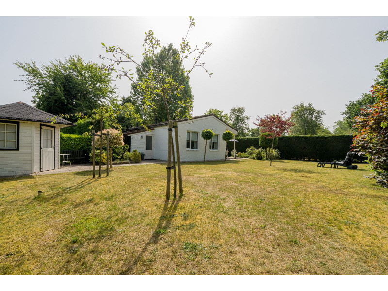 Renesse, De Scholekster - Image 12