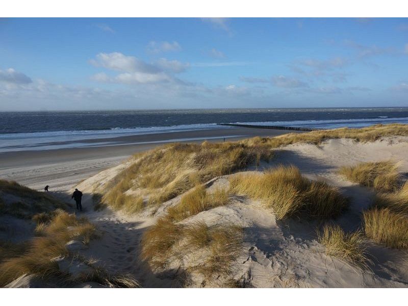 Burgh-Haamstede, Duynzoom - Image 11