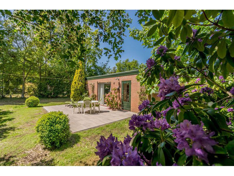 Renesse, Duinoord 6 - De Specht - Image 15