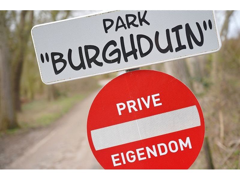 Burgh-Haamstede, Burghduin 1 - Image 26