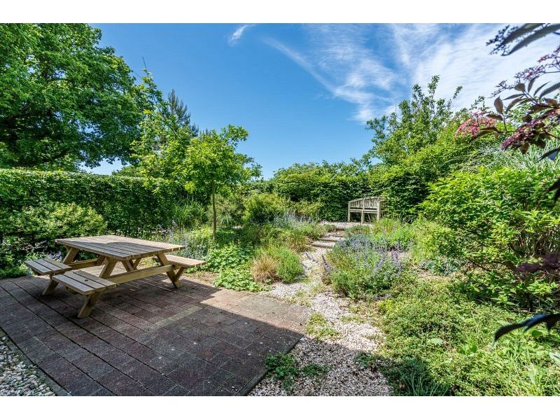 Burgh-Haamstede, Burghduin 1 - Image 22