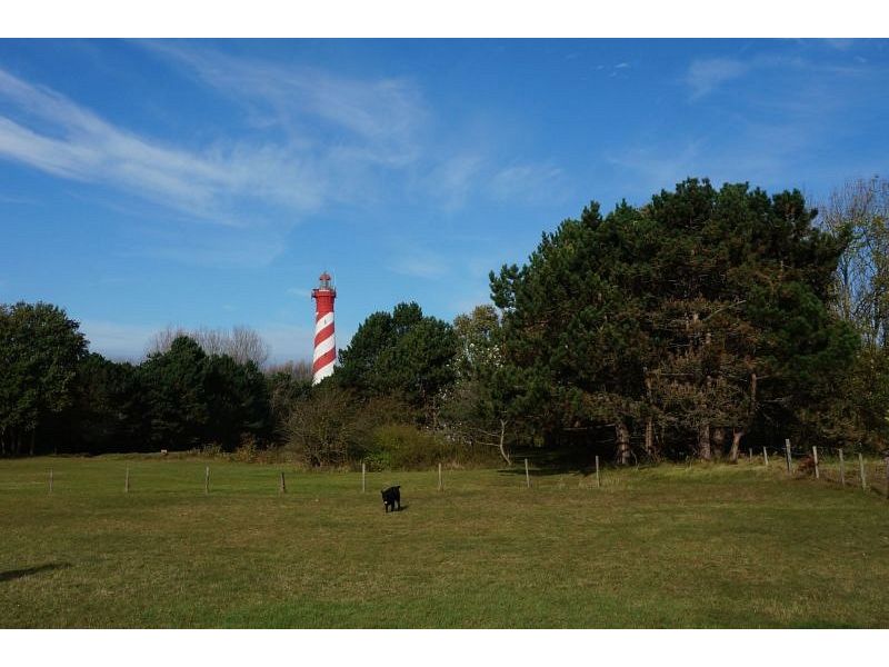 Burgh-Haamstede, Duynzoom - Image 12