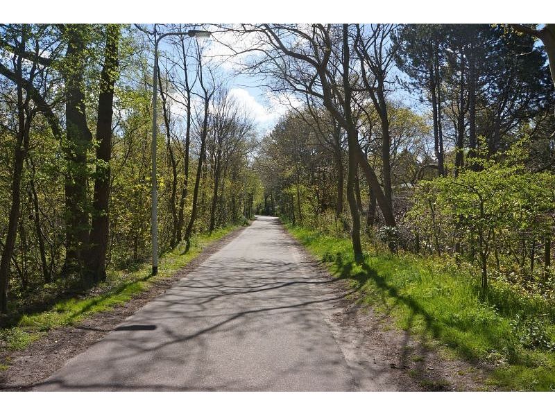 Renesse, Onder 't Hoge Duin - Image 21