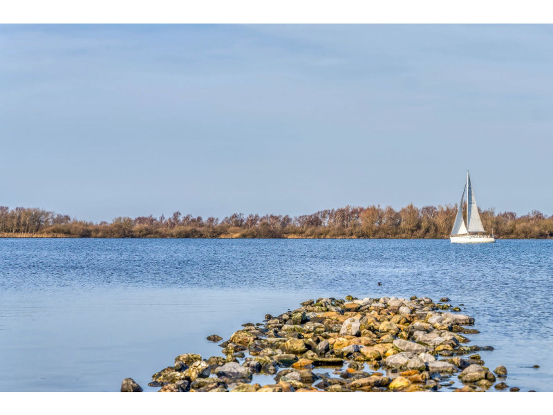 Zonnemaire, Akkerwinde - Image 20