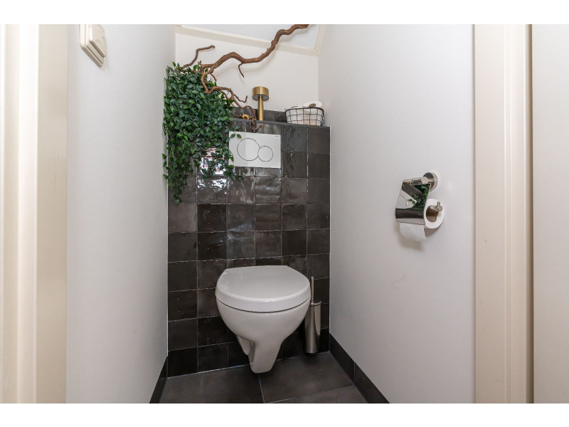 Burgh-Haamstede, Burghduin 1 - Image 19