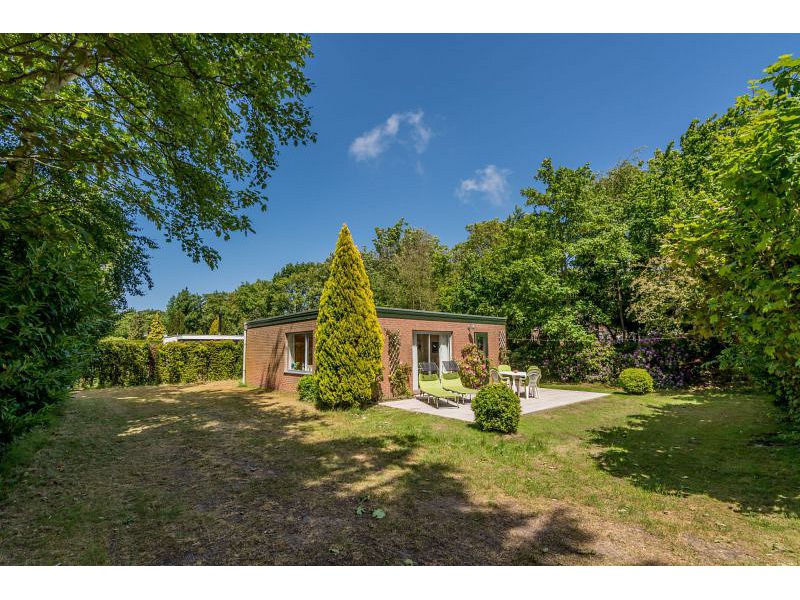 Renesse, Duinoord 6 - De Specht - Image 1