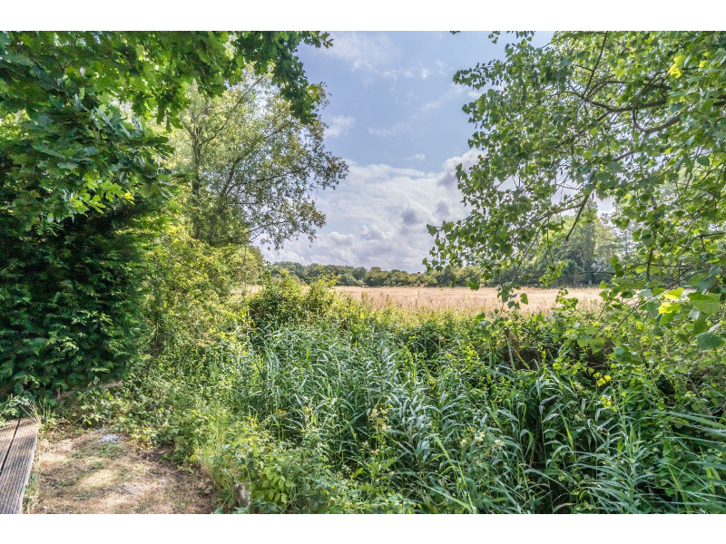 Renesse, Duinoord 3 - De Wilgen - Image 18